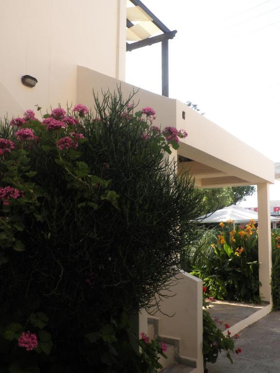 Kokkini Hani Aigialis Apartments & Studios חדר תמונה